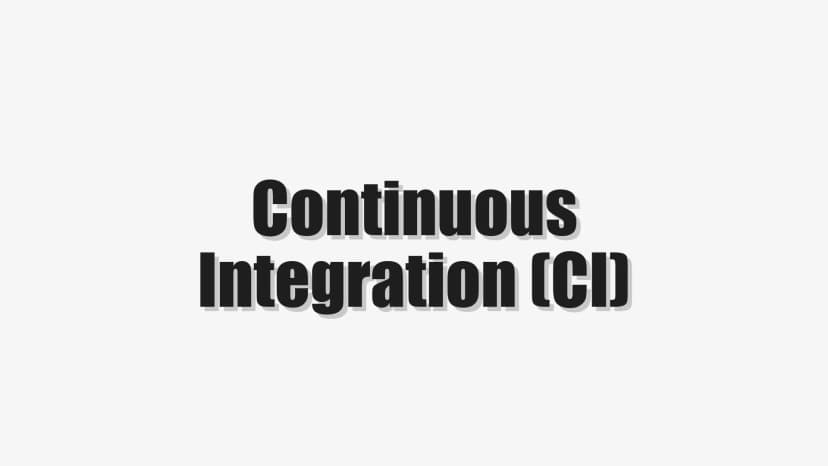 Continuous Integration (CI)