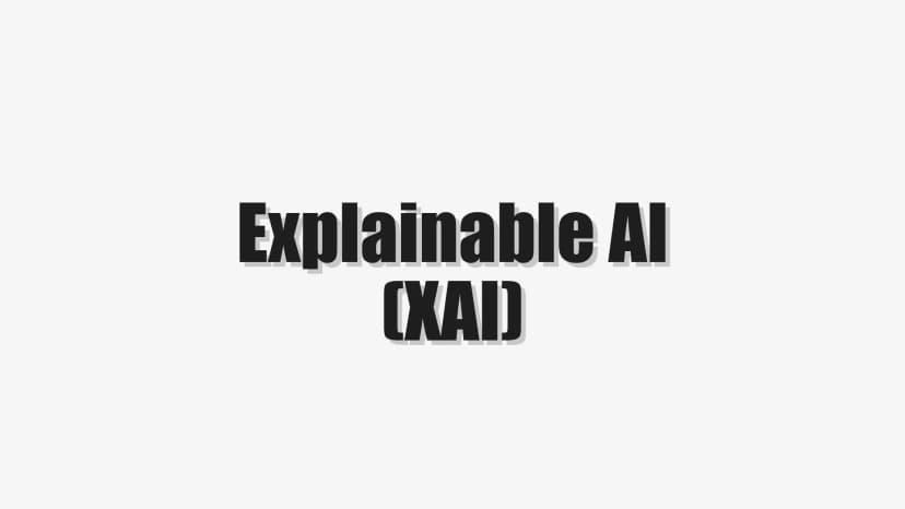 Explainable AI (XAI)