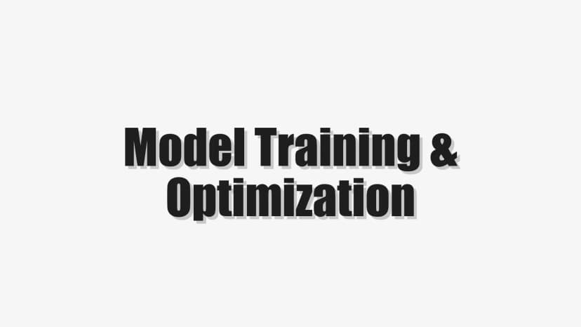 Model Training & Optimization