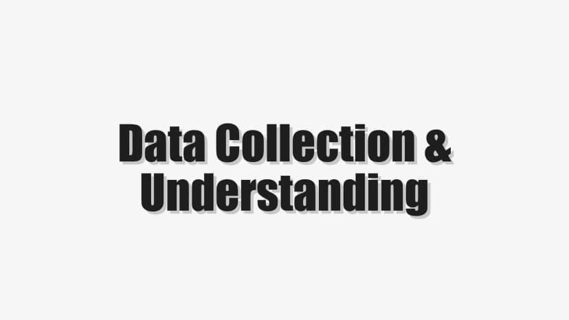 Data Collection & Understanding
