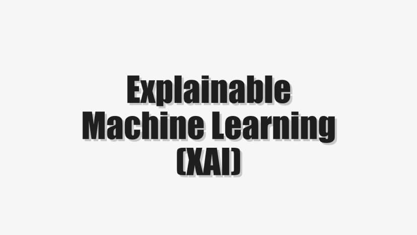 Explainable Machine Learning (XAI)