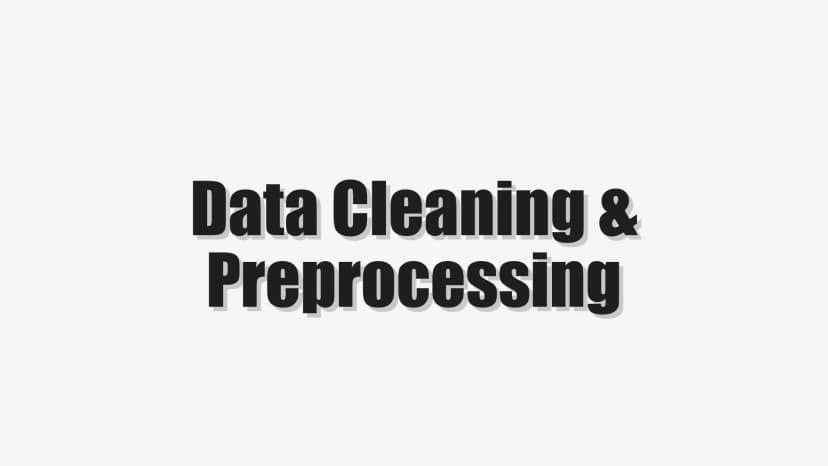 Data Cleaning & Preprocessing