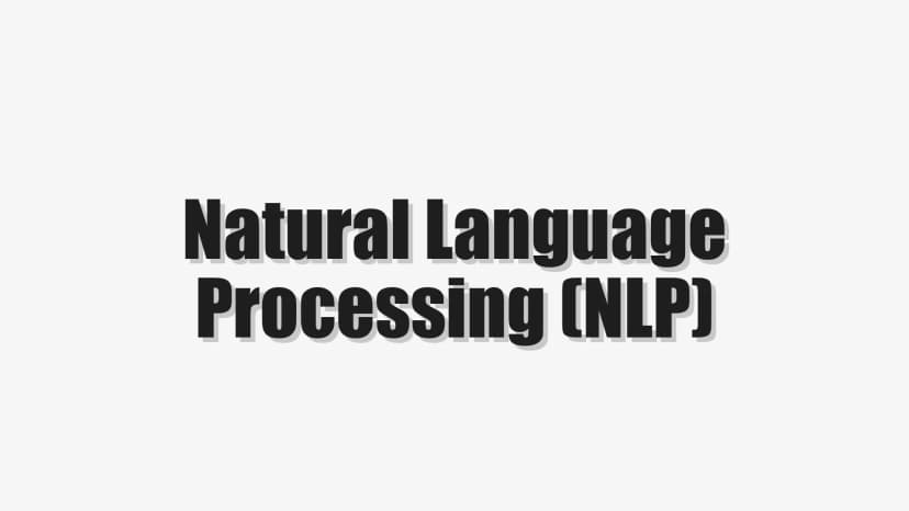Natural Language Processing (NLP)