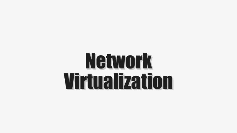 Network Virtualization