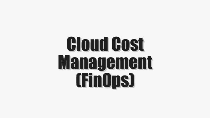 Cloud Cost Management (FinOps)