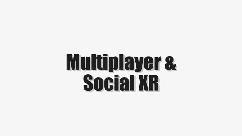 Multiplayer & Social XR