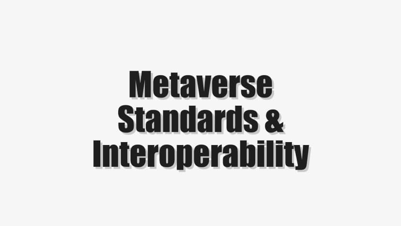 Metaverse Standards & Interoperability