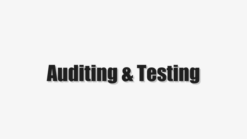 Auditing & Testing